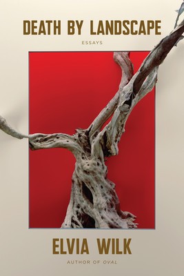 Death by Landscape foto