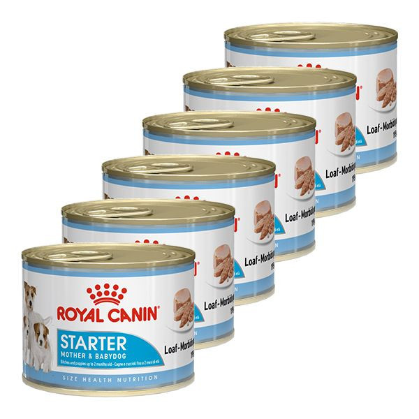 Royal Canin Starter Mousse 6 x 195 g