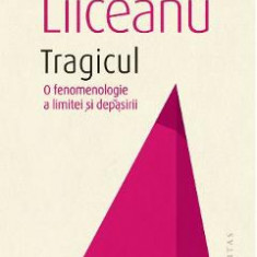 Tragicul. O fenomenologie a limitei si depasirii - Gabriel Liiceanu