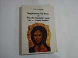 RUGACIUNEA LUI IISUS IN SCRIERILE STARETULUI VASILE DE LA POIANA MARULUI - DARIO RACCANELLO