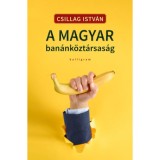 A magyar ban&aacute;nk&ouml;zt&aacute;rsas&aacute;g - Csillag Istv&aacute;n