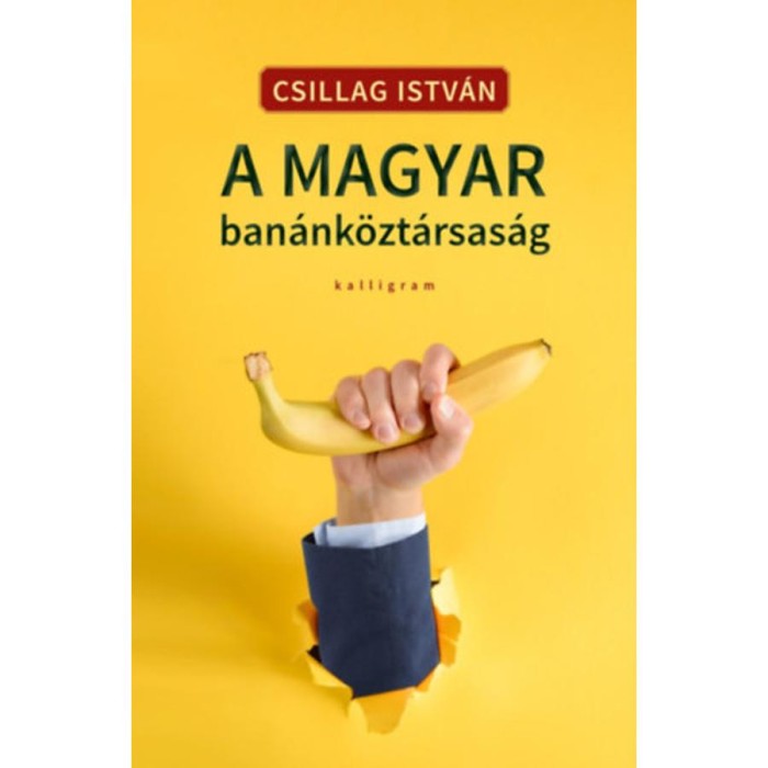 A magyar ban&aacute;nk&ouml;zt&aacute;rsas&aacute;g - Csillag Istv&aacute;n