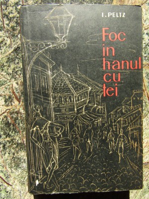 FOC IN HANUL CU TEI-I.PELTZ foto