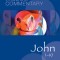 John 1-10, Volume 44