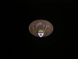 QW9 N8 41 - insigna - tematica turism - Bundes fest 2000 - Germania, Europa
