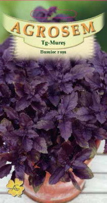 BUSUIOC ROSU RED BASIL 1 g foto