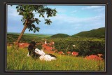 CPIB 21769 - CARTE POSTALA - FATA DIN SATUL SIBIEL (JUD SIBIU), NECIRCULATA, Fotografie