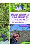Taierea blanda la pomi, arbusti si vita-de-vie - Alain Pontoppidan