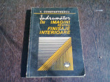 INDRUMATOR IN IMAGINI PENTRU FINISAJE INTERIOARE -V.CONSTANTINESCU