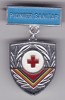 INSIGNA PIONIER Medalie Pionier sanitar Aluminiu vopsit, Romania de la 1950