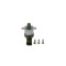 BOSCH 1 465 ZS0 065 Supapa reglaj, cantitate combustibil (Sistem