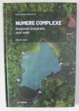 NUMERE COMPLEXE , NUMERELE IMAGINARE SUNT REALE de BARTOLO LUQUE , 2021 * MICI DEFECTE