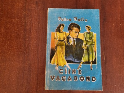 Caine vagabond de Petre Bellu foto