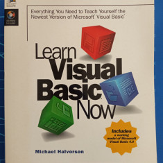 Learn Visual Basic Now - Michael Halverson 1996