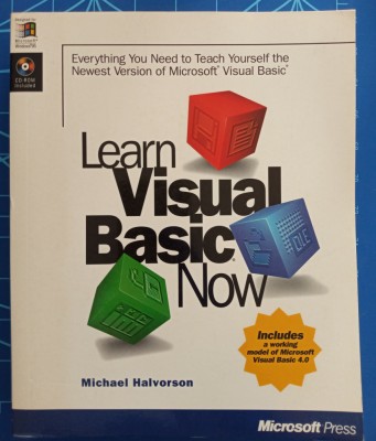 Learn Visual Basic Now - Michael Halverson 1996 foto