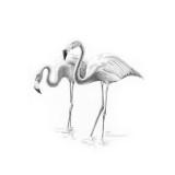 Crochiu incepatori-Flamingo 13x18 cm, Jad