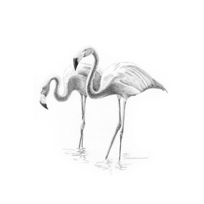 Crochiu incepatori-Flamingo 13x18 cm foto