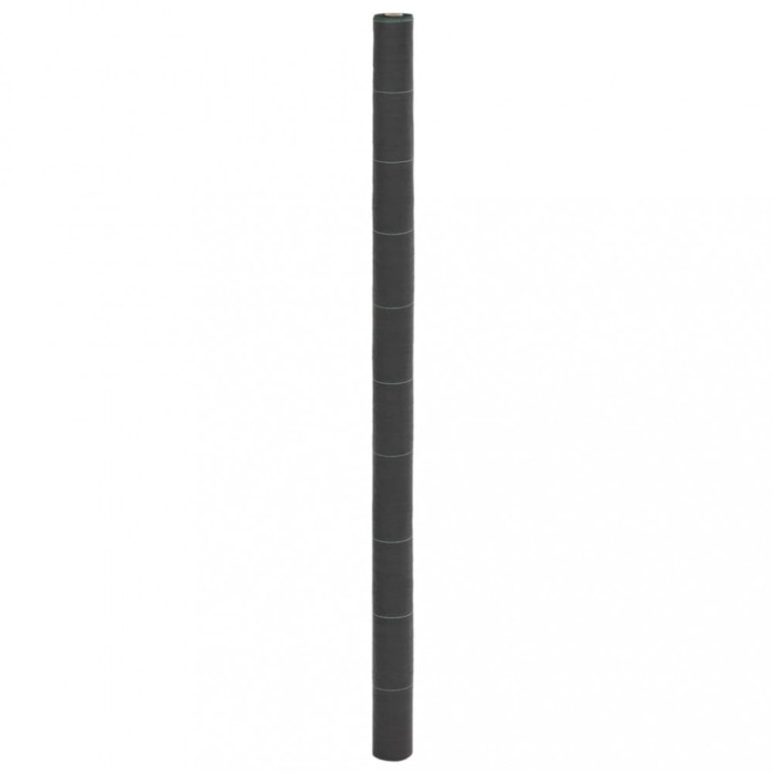 Membrană antiburuieni, negru, 2x10 m, PP