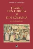 Cumpara ieftin Tiganii din Europa si din Romania. Studiu imagologic/Alex Mihai Stoenescu