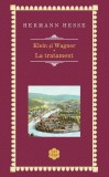 Klein și Wagner. La tratament - Hardcover - Hermann Hesse - RAO