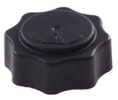 Buson radiator racire Peugeot 205 (20a/C), 309 (10c, 10a), 405 1 (15b)