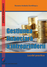 Gestiunea financiara a intreprinderii. Lucrari practice foto