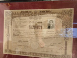 Diploma de bacalaureat cu Ferdinand si Traian, 1929, Lic Matei Basarab