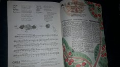 revista CRAVATA ROSIE 1967,revista veche pionieri,revista pt.colectionari/epoca