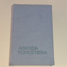 V.N.STINGHE \ D.A.SBURLAN - AGENDA FORESTIERA (Breviar tehnic)