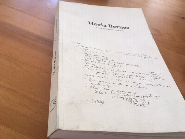 HORIA BERNEA. CAIETE/NOTEBOOKS 1969-1976 EDITIE BILINGVA ROMANA- ENGLEZA