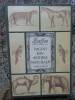 PAGINI DIN ISTORIA NATURALA - BUFFON, Editura Ion Creanga 1981, Biologie, 194 Pagini, Necartonata