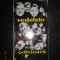 D. I. SUCHIANU - VEDETELE FILMULUI DE ODINIOARA
