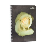 Caiet cu Spira A5 80 file
