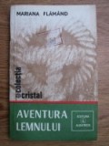 Mariana Flamand - Aventura lemnului