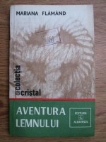 Mariana Flamand - Aventura lemnului foto