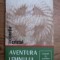Mariana Flamand - Aventura lemnului