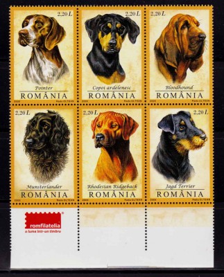 RO 2005 LP 1694 &amp;quot;Caini de vanatoare&amp;quot; , serie bloc cu tab ROMFILATELIA , MNH foto