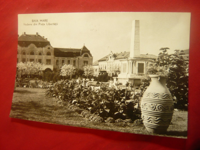 Ilustrata Baia Mare - Piata Libertatii ,circulat 1962