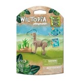 Figurina Playmobil Wiltopia - Alpaca