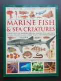 MARINE FISH &amp; SEA CREATURES The Complete illustrated Guide - Amy-Jane Beer, Derek Hall