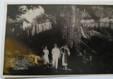 Vizantea &quot;Stejarul Verde&quot; etate circa 600 ani, august 1934, Alb-Negru, Romania 1900 - 1950, Natura