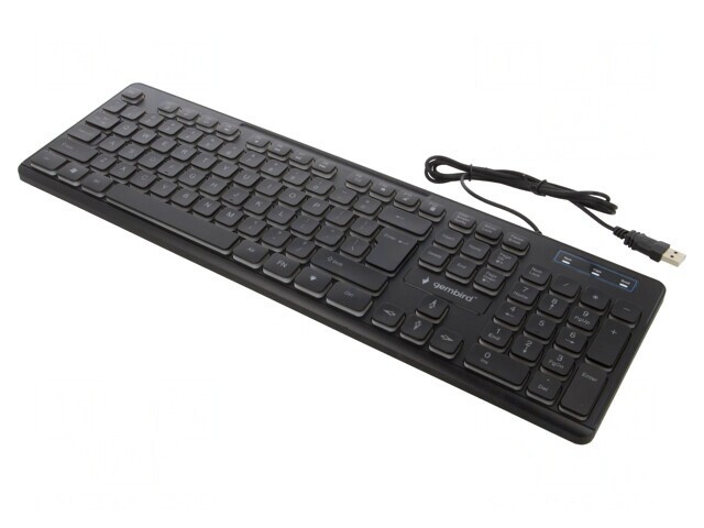 Tastatură USB Neagră US Layout 1,4m