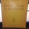 STUDII SI CERCETARI DE ISTORIE VECHE NR.2 , TOMUL 43 APRILIE-IUNIE/1992