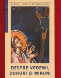 &quot;Despre vedenii duhuri si minuni&quot; Sfantul Ignatie Briancianinov - 2002