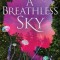 A Breathless Sky