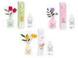 Cumpara ieftin Set 3 parfumuri camera cu betisoare multiarome cm 13,5 x 6 x 20 H, 70 ml