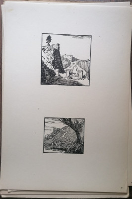 Plansa Gravura Teodoru Horia Peisaje foto