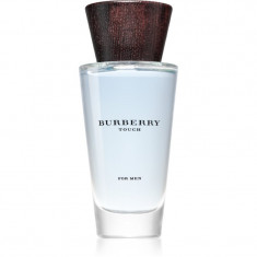 Burberry Touch for Men Eau de Toilette pentru bărbați 100 ml