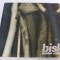 Bisk, cd