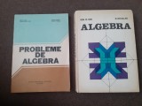 ALGEBRA /PROBLEME DE ALGEBRA- ION D. ION 11/2